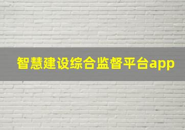 智慧建设综合监督平台app