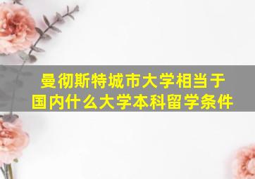 曼彻斯特城市大学相当于国内什么大学本科留学条件