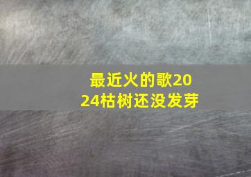 最近火的歌2024枯树还没发芽