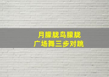 月朦胧鸟朦胧广场舞三步对跳