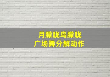 月朦胧鸟朦胧广场舞分解动作