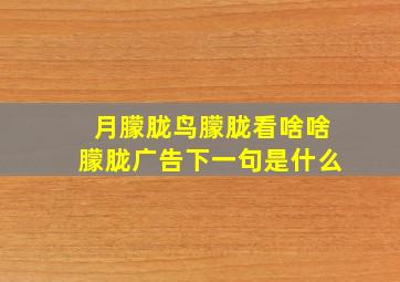 月朦胧鸟朦胧看啥啥朦胧广告下一句是什么