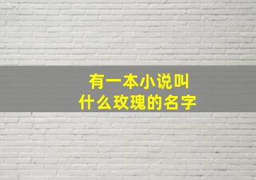 有一本小说叫什么玫瑰的名字