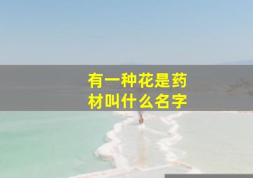 有一种花是药材叫什么名字