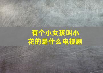 有个小女孩叫小花的是什么电视剧