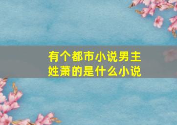 有个都市小说男主姓萧的是什么小说