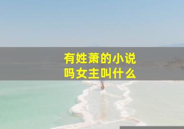 有姓萧的小说吗女主叫什么