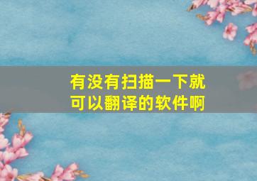 有没有扫描一下就可以翻译的软件啊