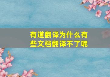 有道翻译为什么有些文档翻译不了呢