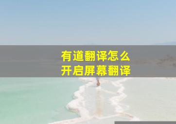 有道翻译怎么开启屏幕翻译