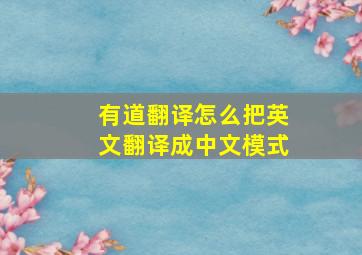 有道翻译怎么把英文翻译成中文模式