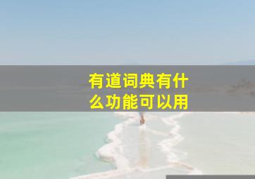 有道词典有什么功能可以用