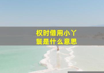 权时借用小丫鬟是什么意思