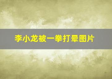 李小龙被一拳打晕图片