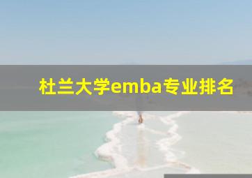 杜兰大学emba专业排名