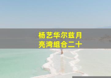 杨艺华尔兹月亮湾组合二十