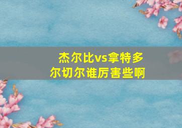 杰尔比vs拿特多尔切尔谁厉害些啊