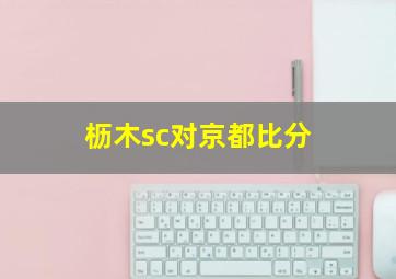 枥木sc对京都比分