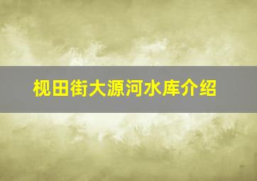 枧田街大源河水库介绍