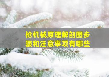 枪机械原理解剖图步骤和注意事项有哪些