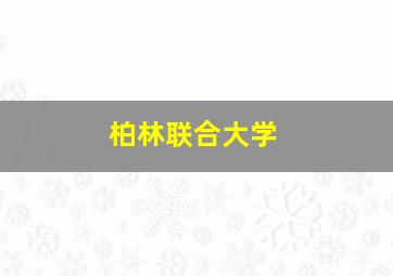 柏林联合大学