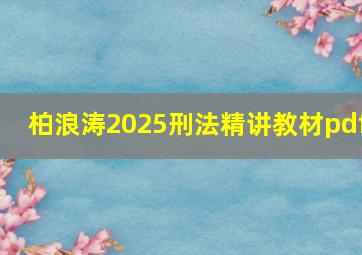 柏浪涛2025刑法精讲教材pdf