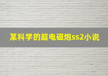 某科学的超电磁炮ss2小说