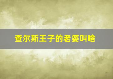 查尔斯王子的老婆叫啥