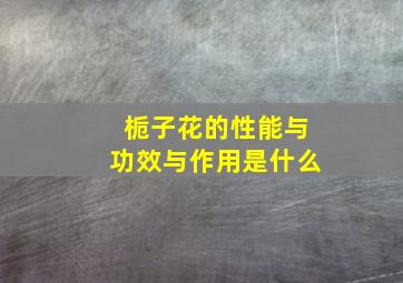 栀子花的性能与功效与作用是什么