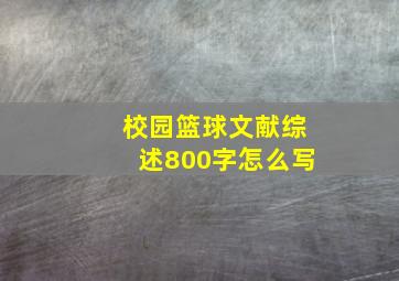 校园篮球文献综述800字怎么写