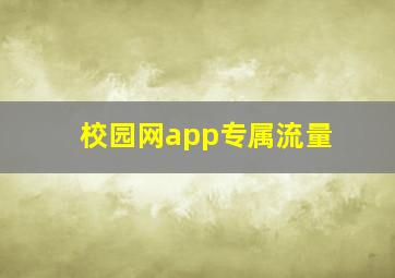 校园网app专属流量