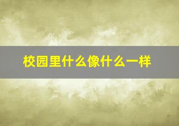 校园里什么像什么一样