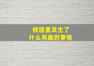 校园里发生了什么有趣的事情