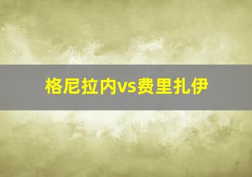 格尼拉内vs费里扎伊