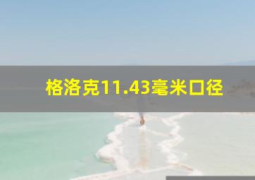 格洛克11.43毫米口径