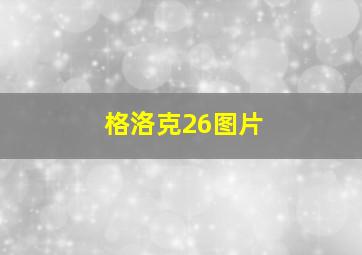 格洛克26图片