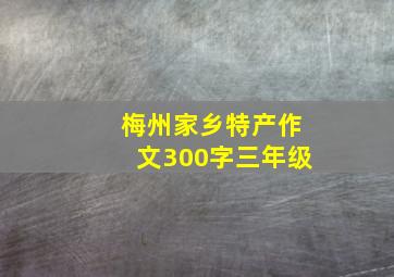 梅州家乡特产作文300字三年级