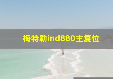 梅特勒ind880主复位