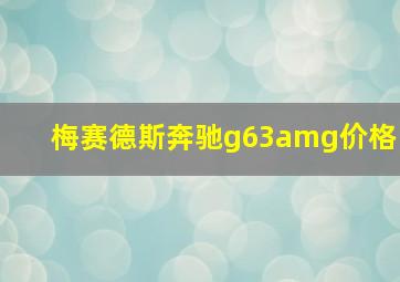 梅赛德斯奔驰g63amg价格