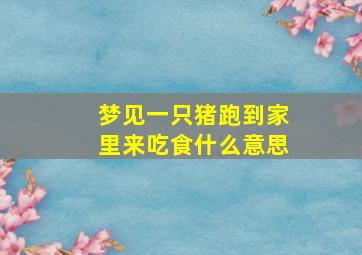 梦见一只猪跑到家里来吃食什么意思