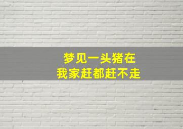 梦见一头猪在我家赶都赶不走