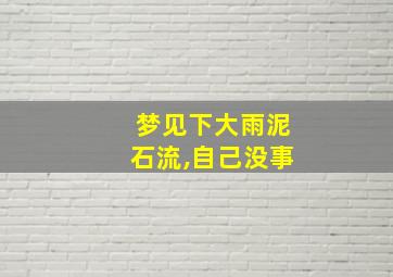 梦见下大雨泥石流,自己没事