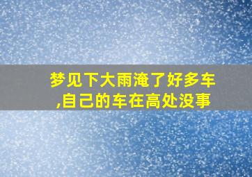 梦见下大雨淹了好多车,自己的车在高处没事