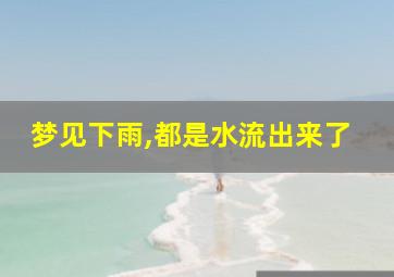 梦见下雨,都是水流出来了