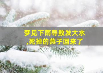 梦见下雨导致发大水,死掉的燕子回来了