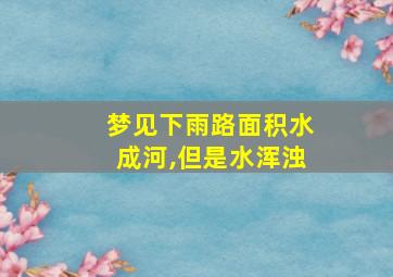 梦见下雨路面积水成河,但是水浑浊