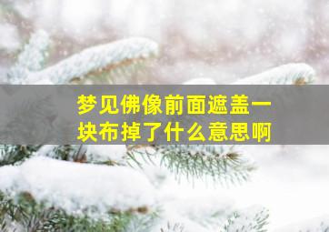 梦见佛像前面遮盖一块布掉了什么意思啊