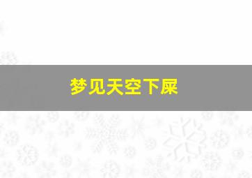 梦见天空下屎