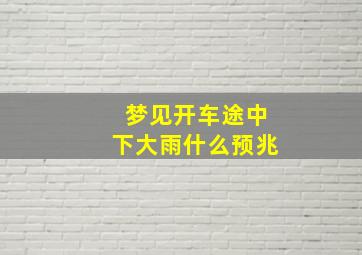 梦见开车途中下大雨什么预兆