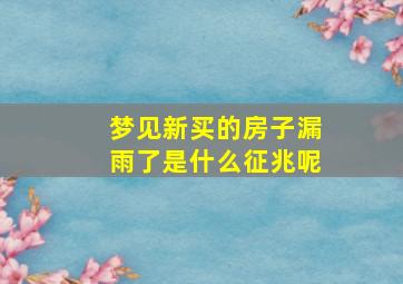 梦见新买的房子漏雨了是什么征兆呢